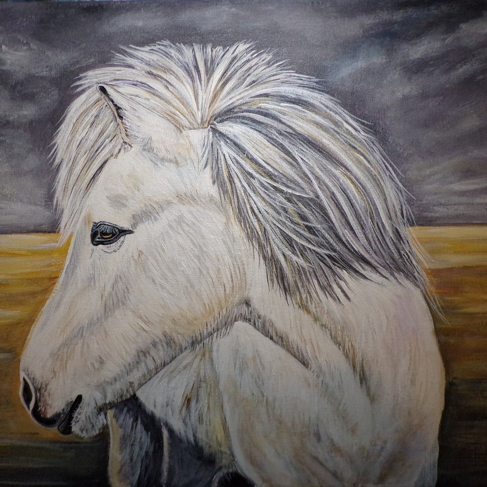 Horse original acrylic painting